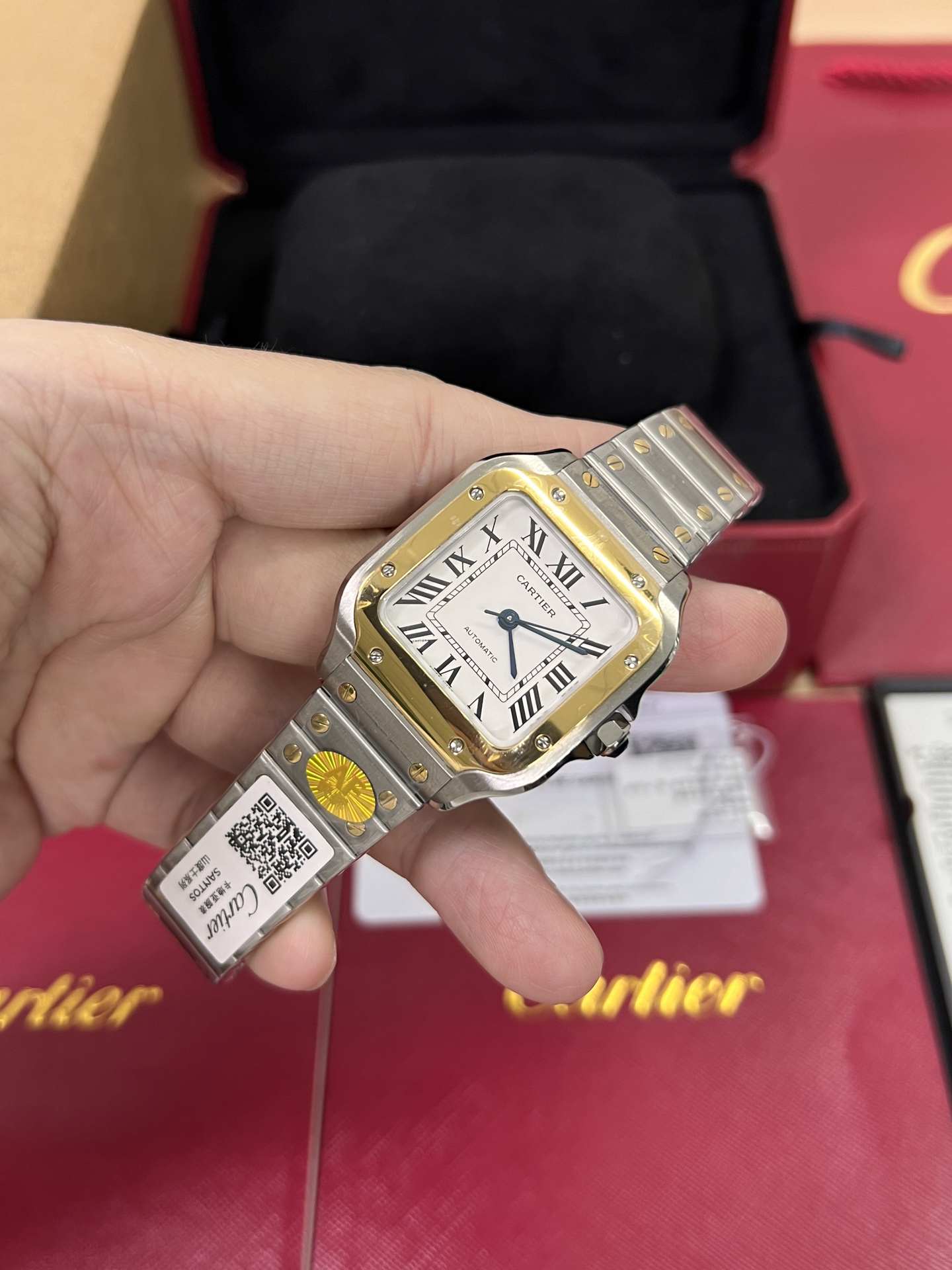 Cartier Santos Small (No Date) Two-Tone (Ref: WSSA0010)